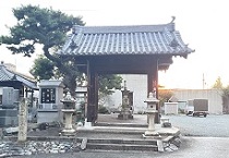 サンプル